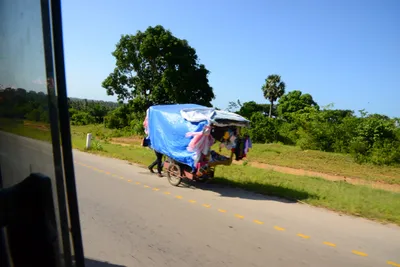 DSC_8276 (Large).JPG